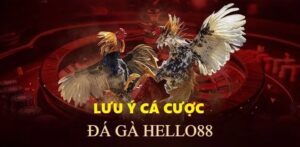Đá gà Hello88